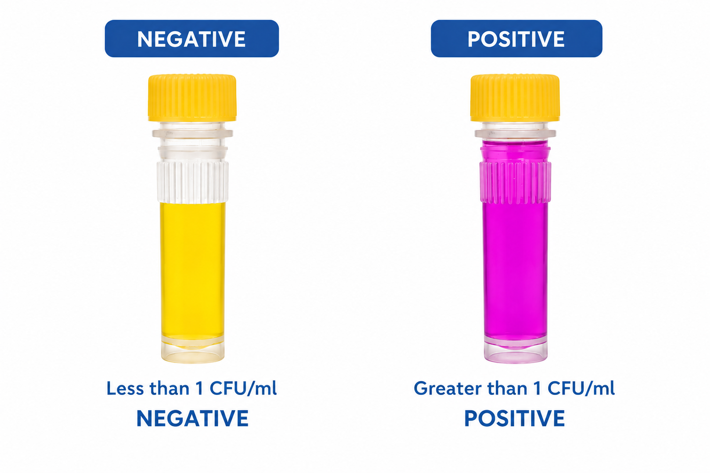 ExactBlue Total Bacteria and Fungi